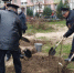Брянские полицейские заложили аллею памяти - Газета Труд