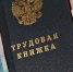В Брянской области размер пособия для потерявших работу граждан увеличился - Газета Труд