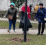 Работники департамента внутренней политики Брянской области на субботнике убирали в сквере Гайдукова - Газета Труд