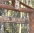 Туристическую достопримечательность — тропу здоровья — торжественно открыли в брянском городе Унеча - Газета Труд