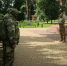 В Брянской области создан новый отряд охраны госграницы с Украиной - Газета Труд