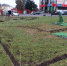 В брянском поселке Климово благоустраивают площадь Ленина - Газета Труд