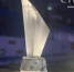 На Брянщине  наградили победителей и призеров Чемпионата России по самбо - Газета Труд