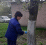 В Клинцах продолжились работы в рамках месячника по благоустройству города - Администрация г. Клинцы