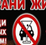 За информацию о пьяных водителях предусмотрено вознаграждение - Газета Труд