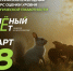 Брянцев приглашают принять участие в экологическом тестировании «Зелёный Зачёт» - Газета Труд