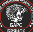 Удостоверение ветерана боевых действий бойцы отряда «Барс-Брянск» получат проще - Газета Труд