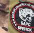 Добровольцы могут присоединиться к отряду «БАРС-Брянск» - Газета Труд