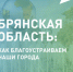 Две недели осталось до окончания голосования за объекты благоустройства в Брянской области - Газета Труд