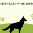 Внеплановый отлов животных без владельцев. - Администрация г. Клинцы