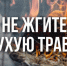  «Внимание – месячник «Сухая трава!». - Администрация г. Клинцы