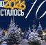 Новогодние праздники стремительно приближаются и многие уже активно готовятся к этому событию. Особое внимание уделяется выбору главного украшения – ёлки. - Администрация г. Клинцы