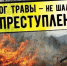 Весенние палы травы. - Клинцовский район
