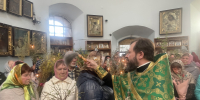 Погарское благочиние. Вход Господень в Иерусалим - Клинцовская епархия
