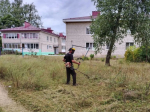 В конце недели на территории Клинцовского района прошли субботники.