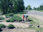 В конце недели на территории Клинцовского района прошли субботники.