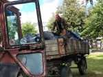 В городе Клинцы в рамках общеобластного субботника проведены мероприятия по благоустройству городских территорий..