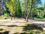 В городе Клинцы в рамках общеобластного субботника проведены мероприятия по благоустройству городских территорий..