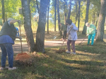 В городе Клинцы в рамках общеобластного субботника проведены мероприятия по благоустройству городских территорий..