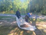 В городе Клинцы в рамках общеобластного субботника проведены мероприятия по благоустройству городских территорий..